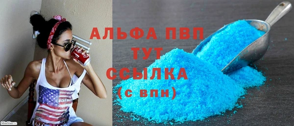 амф Верхний Тагил